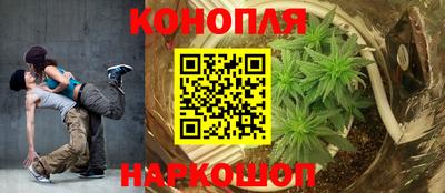 каннабис Будённовск