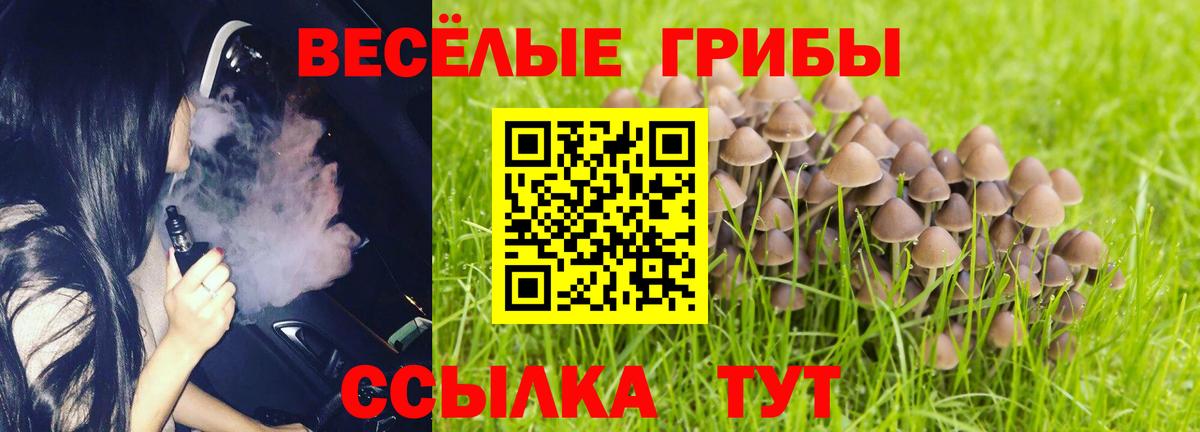 Кисловодск  Галлюциногенные грибы Magic Shrooms  Вход с VPN 